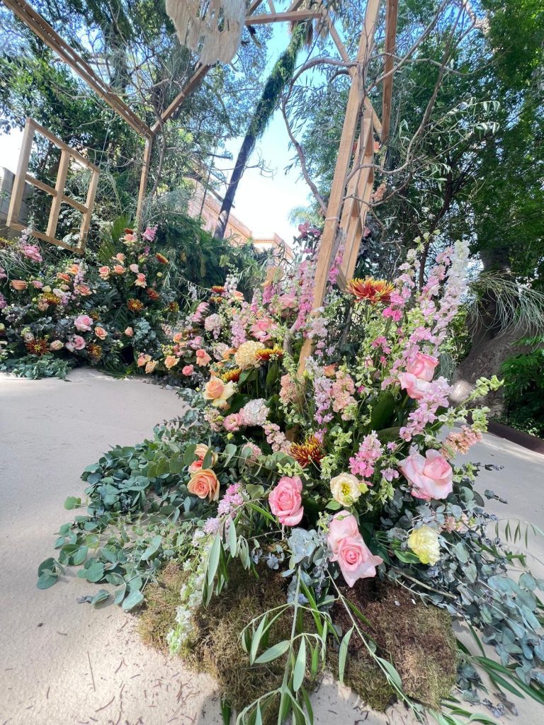 PHOTO-2025-06-16-11-27-29 (1)